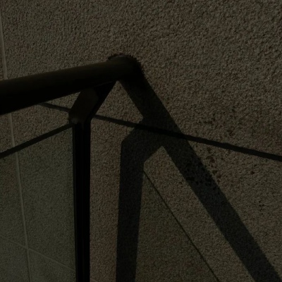 兽设物种设计灵感兽圈群